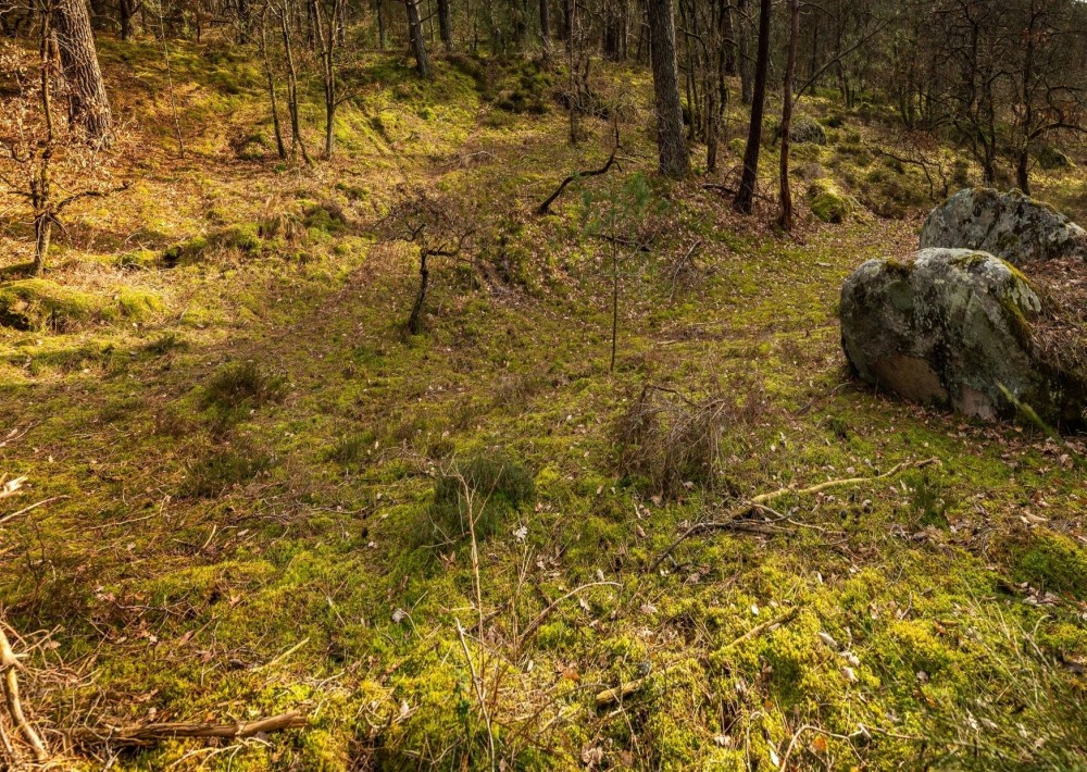 Stage de Survie en France ➡️ Forêt, Montagne, Mer