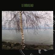 bouleau arbre à connaitre stage de survie