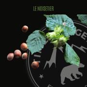 noisetier stage de survie bushcraft france