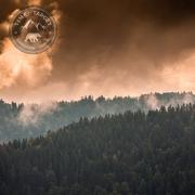 survie-lyon-auvergne-rhone-alpes-stage-1