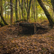 stage de survie extreme doubs bivouac