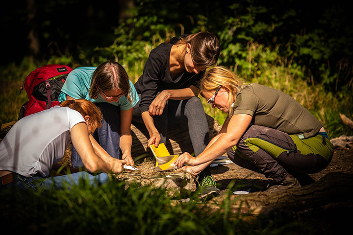 un séminaire survie qui favorise la cohésion d'équipe 